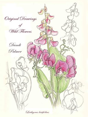 cover image of Original Drawings of Wild Flowers
